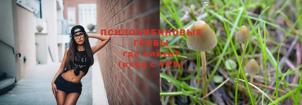 mdpv Нягань