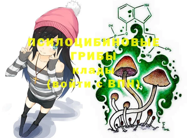 mdpv Нягань