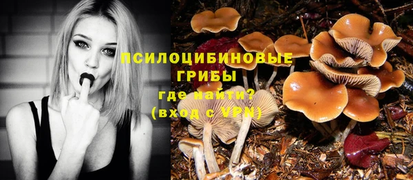 mdpv Нягань