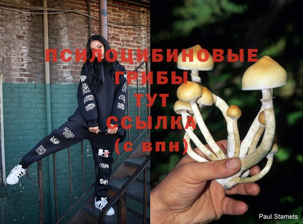 кокаин колумбия Нязепетровск