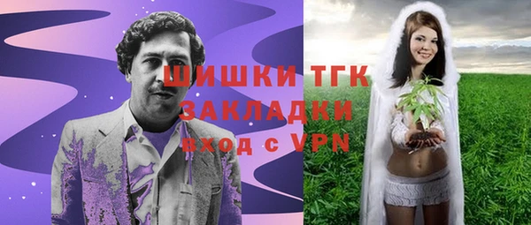 твердый Новодвинск