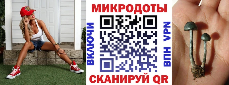 Псилоцибиновые грибы Psilocybine cubensis  Переславль-Залесский 