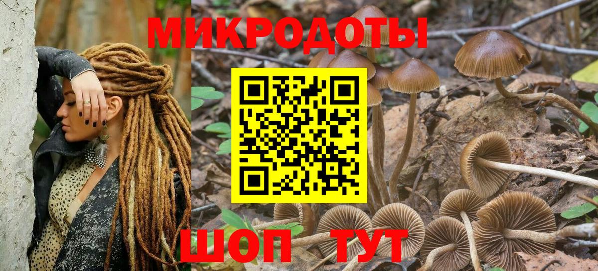 Галлюциногенные грибы ЛСД Переславль-Залесский