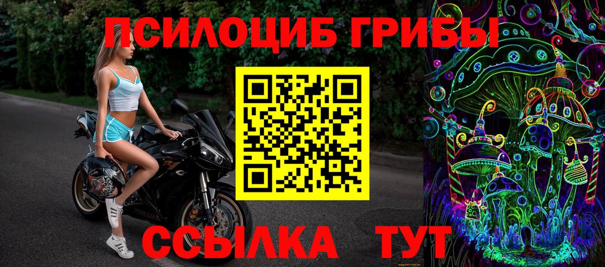 Псилоцибиновые грибы Psilocybine cubensis  Псилоцибиновые грибы Cubensis  Переславль-Залесский 