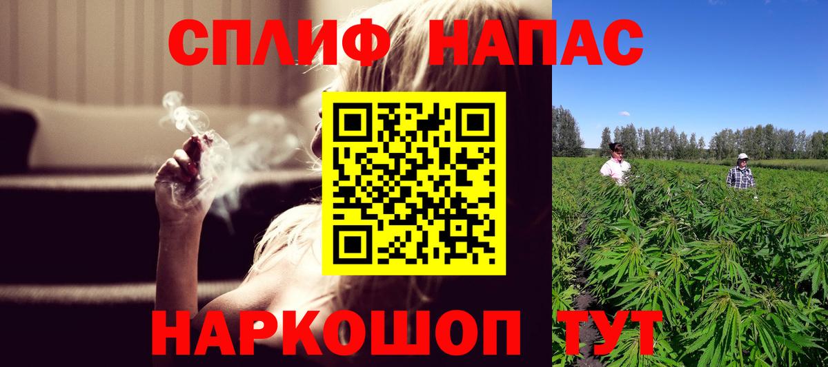 Конопля сатива Переславль-Залесский